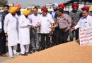 Bhagwant Mann reviews wheat procurement, says crop being purchased at higher price than MSP by traders due to Ukraine crisis