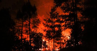 Uttarakhand Battles Forest Fires: Indian Air Force Steps In